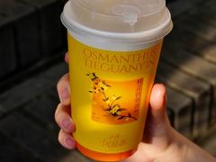 -奈雪的茶(天河城店)