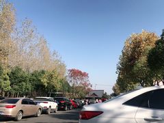 -合肥滨湖国家森林公园