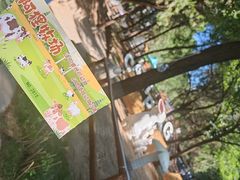 -淄博聊斋城景区