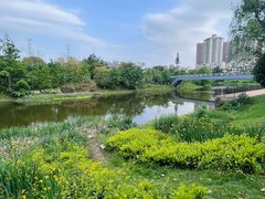 -重庆长寿碧桂园凤悦凤凰酒店