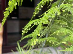 -海窝子古镇