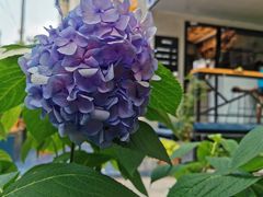-T-COFFEE(长江花园店)