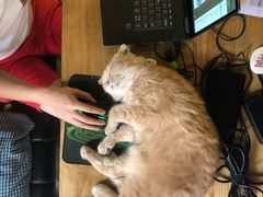 -咖法森林·咖啡  酒吧(天河店)