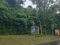 -圣淘沙天际线斜坡滑车