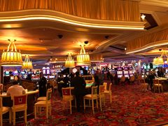 -拉斯维加斯永利酒店