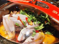 -百姓山羊烧烤·萧县羊肉(青阳路店)