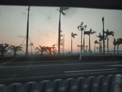 -野狸岛
