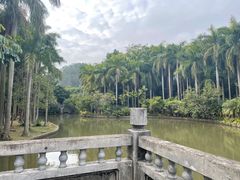 -滴水岩森林公园