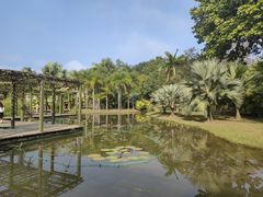 -中国科学院西双版纳热带植物园