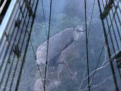 -宁波五龙潭景区