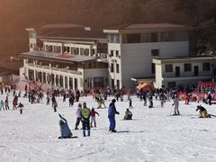 -大围山国家森林公园