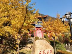 -遵化市禅林寺古银杏风景园