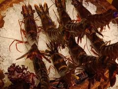 -二刀潮牛(重庆光环购物公园店)