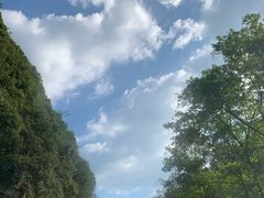-千岛湖王子谷漂流