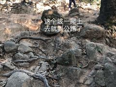 -火炉山森林公园