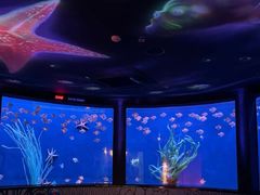 -沈阳海洋探索中心