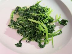 -老吉堂上海本帮菜(望京万象汇店)