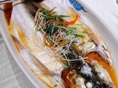 清蒸太湖白鱼-翡翠江南(国贸商城店)