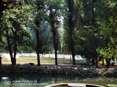 -紫海香堤香草艺术庄园