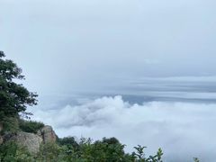 -白草畔自然风景区