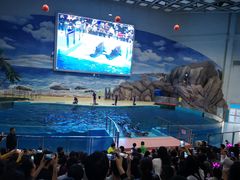 -福州罗源湾海洋世界旅游区