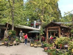 -青城甲(青城山店)