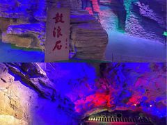 -贝壳梦幻世界