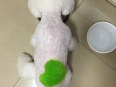 -乐琪宠物(青塔西路店)