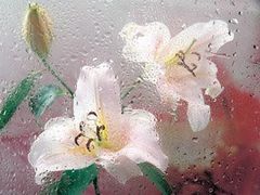 -迪卡侬(雨花店)