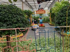 -南宫五洲植物乐园