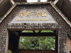 -海南槟榔谷黎苗文化旅游区