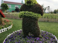 -荷兰花海