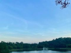 -福建鲤鱼洲酒店