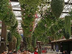 -常州花鸟园酒店(西太湖品牌优选店)