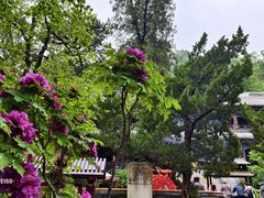 -潭柘寺景区