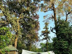 -BUND·FIVE外滩5号(天际店)