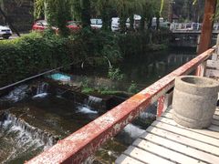 -Local泰莲庭(虹鳟鱼店)