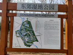 -东郊湿地公园