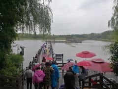 -溱湖国家湿地公园