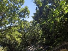 -珞珈山-售票处