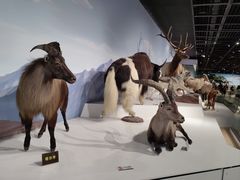 -陕西自然博物馆