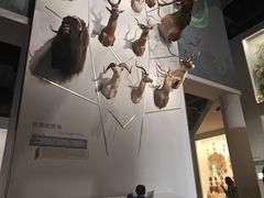 -浙江自然博物院(杭州馆)
