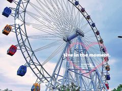 -上海野生动物园