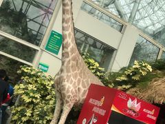 -大连森林动物园