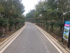 -武汉紫薇都市田园