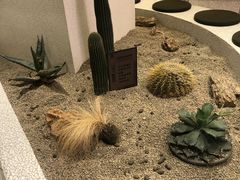 -OUR Bakery(SKP-S店)