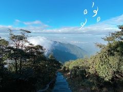 -梧桐山风景名胜区