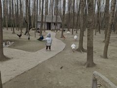 -昆山城市生态森林公园