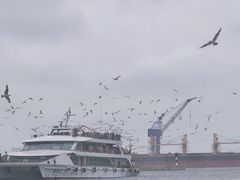 -海驴岛(荣成市)