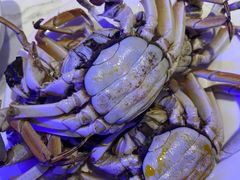 -半岛听涛蒸汽海鲜自助(K11店)